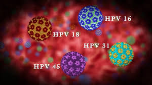 How to Avoid HPV Infection | VirtualVillageMom